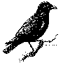 J. Crow Catalog